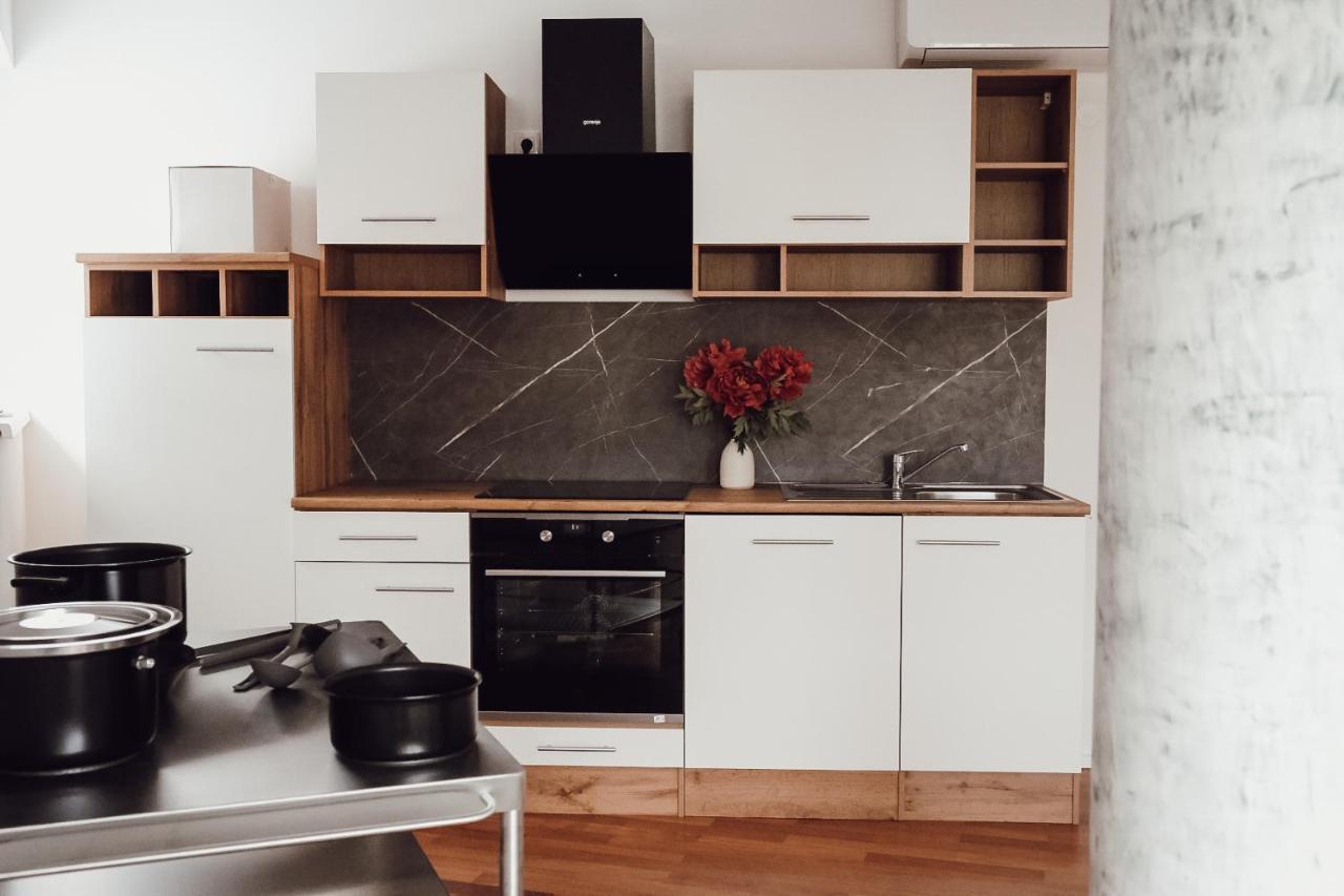 Central Apartment Maister Kranj városi község Kültér fotó