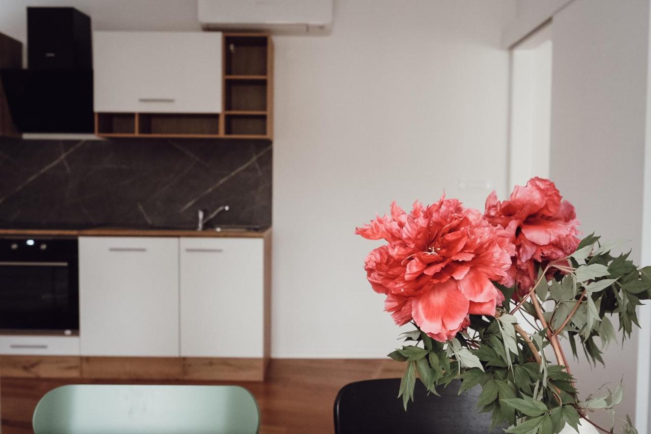 Central Apartment Maister Kranj városi község Kültér fotó